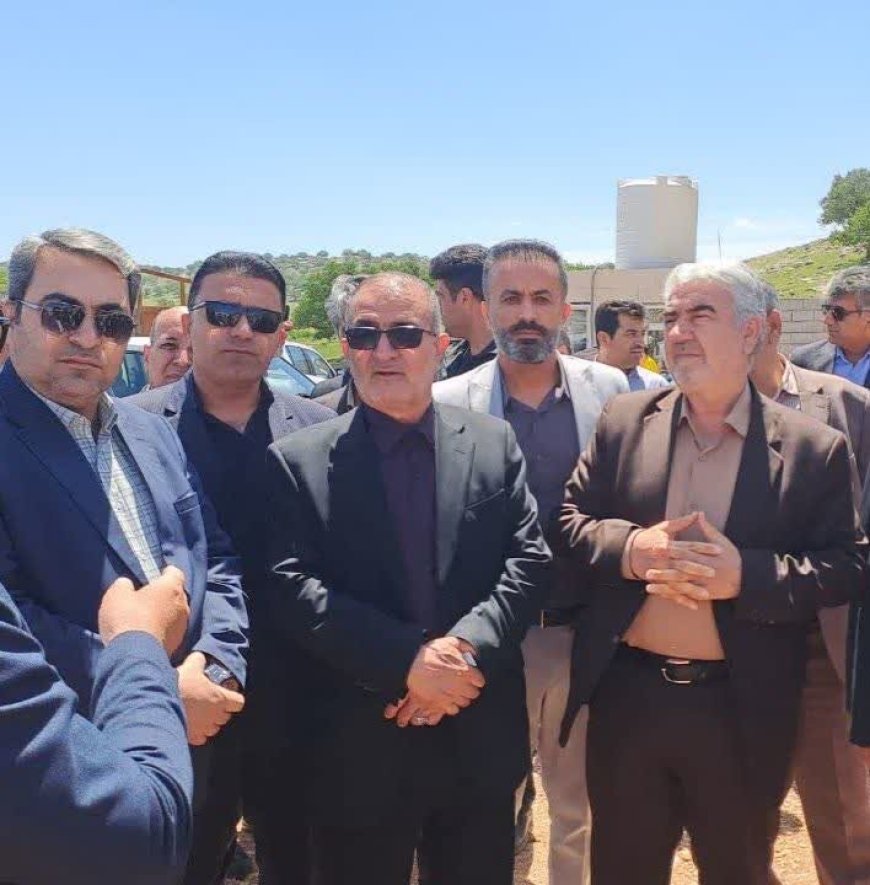 کهگیلویه و بویراحمد در آستانه خودکفایی تولید جوجه یک‌روزه