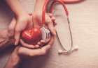 organ dination