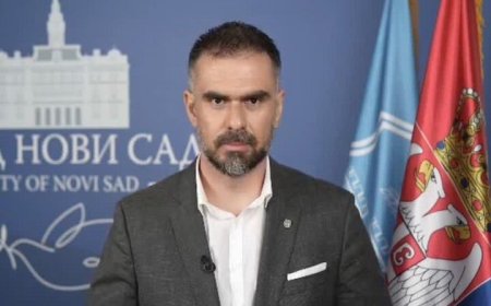 طنین همبستگی از پایتخت فرهنگی اروپا تا شیراز/ تأکید شهردار نووی‌ساد بر پیوندهای تمدنی