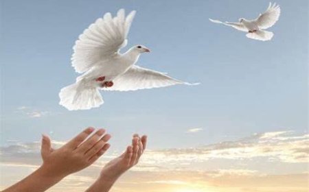 آزادی ۲۵۹ زندانی جرایم مالی غیرعمد توسط فعالان اقتصادی فارس