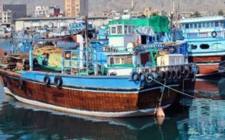 ۷۰۰ شناور مرزی در بوشهر تعیین‌تکلیف شدند
