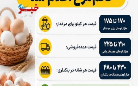 قیمت واقعی هر شانه تخم‌مرغ اعلام شد