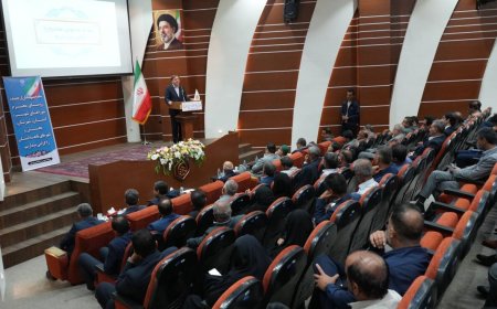 دولت وفاق ملی اعتقاد راسخی به ظرفیت شوراها دارد