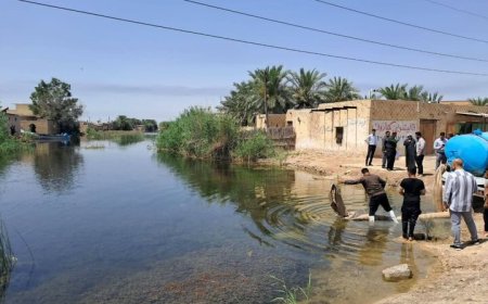 آغاز رهاسازی بچه‌ماهیان بومی در منابع آبی خوزستان