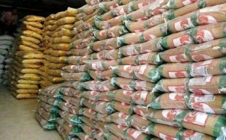 کشف ۱۸۲۰ تن برنج احتکار شده در بندرعباس