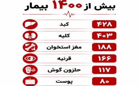 بیش از ۱۴۰۰ بیمار در شیراز با پیوند عضو به زندگی بازگشتند