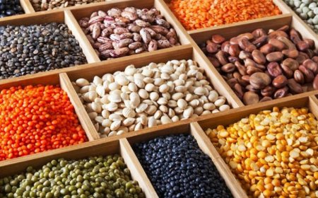 دانه دانه تراژدی در سفره های چرتکه ای