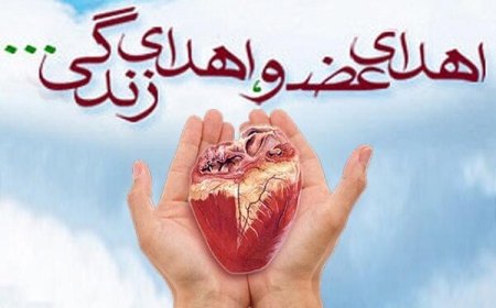 اعضای بدن جوان ۱۹ ساله فیروزآبادی نجات‌بخش بیماران شد