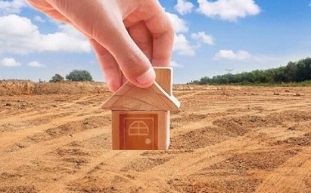 ۱۶۰ قطعه زمین به خانواده‌های دارای ۳ و ۴ فرزند در بندرلنگه واگذار شد