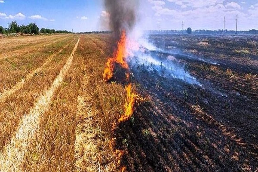 تشکیل ۱۴ پرونده قضایی برای کشاورزان متخلف در آتش‌زدن بقایای مزارع هویزه