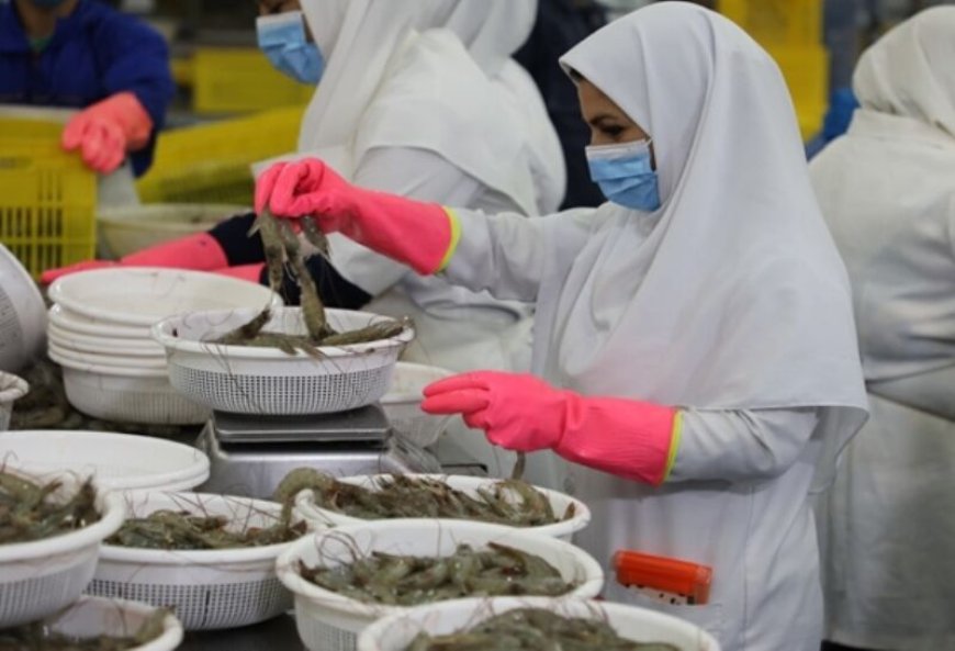 ۱۷ شرکت تولید کننده آبزیان بوشهر در لیست صادرات به کشور ترکیه قرار گرفتند