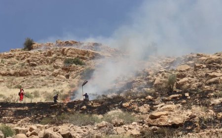آتش‌سوزی گسترده در ارتفاعات کوه دراک شیراز مهار شد