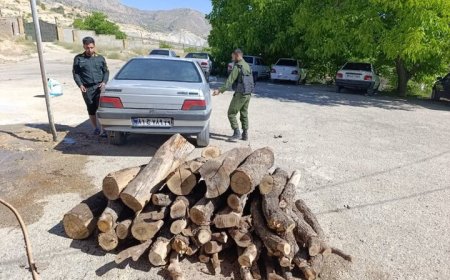 توقیف بیش از ۳ تن چوب و زغال قاچاق در کهگیلویه و بویراحمد