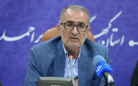 استاندارکهگیلویه و بویراحمد: پیگیر ترمیم حقوق اساتید دانشگاه‌ها و مطالبات کادر درمان هستیم