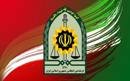 پلیس زن و مردی را دستگیر کرد که در شیراز دست شهروندی را بریده بودند