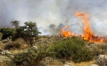 دستگیری عاملان آتش‌سوزی‌های عمدی در شیراز و کازرون