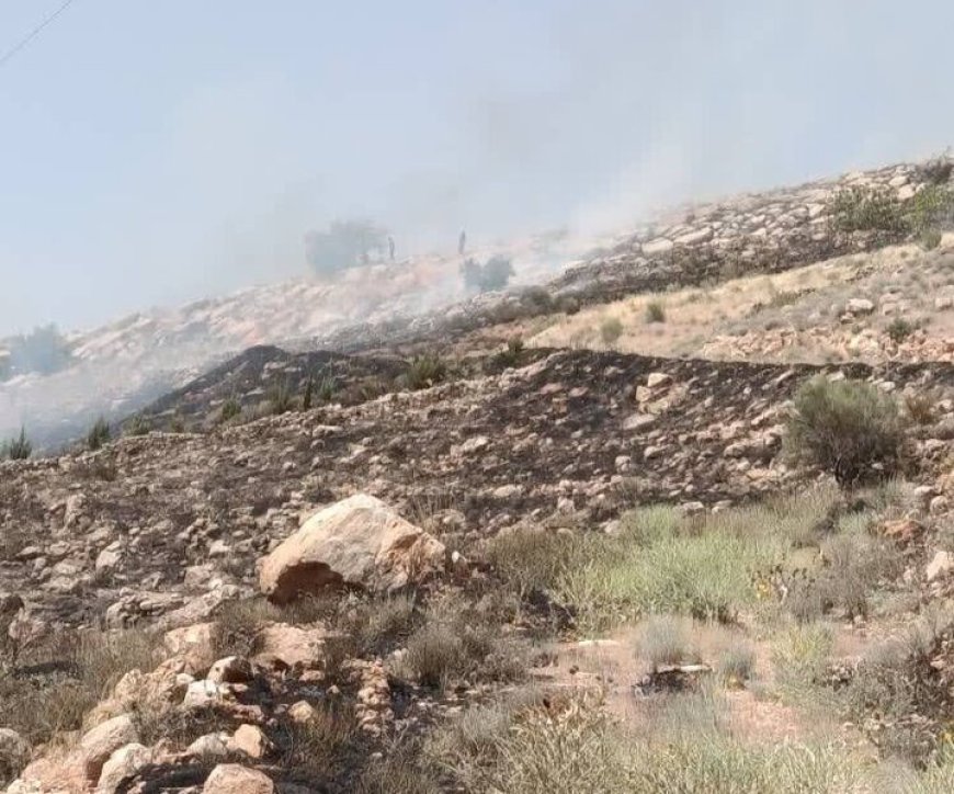 آتش سوزی در شهر جم بوشهر بر اثر گرما