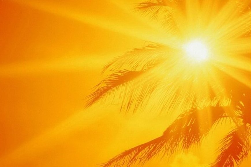 اوج گیری گرما در استان بوشهر؛ دما به ۴۷ درجه رسید