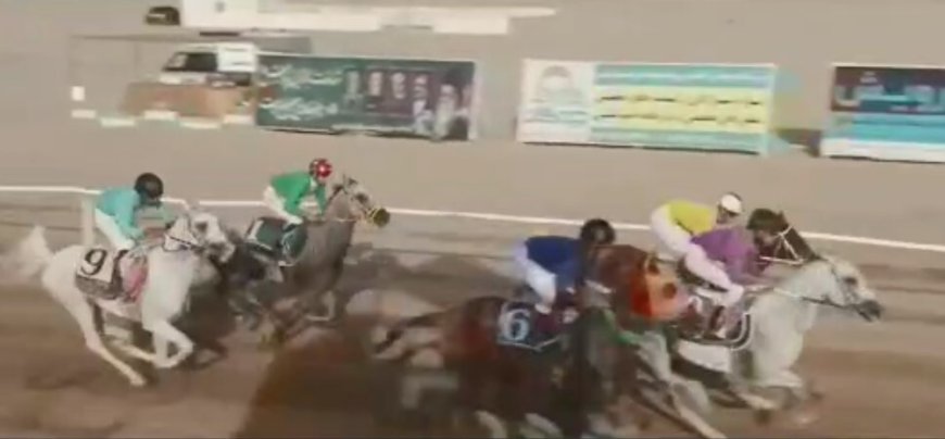سوارکار هرمزگانی قهرمان کشور شد