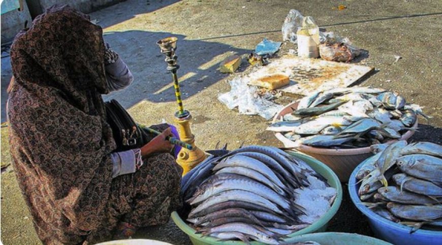 ماهی به سبد خانوار بندرعباسی افزوده خواهد شد؟