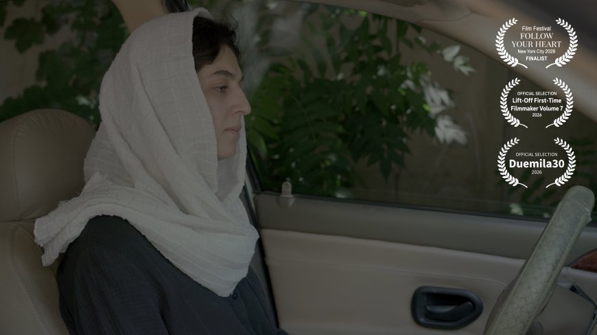 فیلمساز میمندی «خبرساز» شد