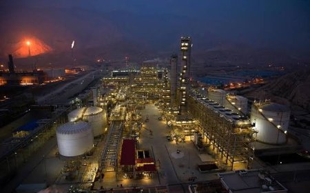 مشکلات بانکی و مالیاتی پتروشیمی‌های بوشهر پیگیری می‌شود