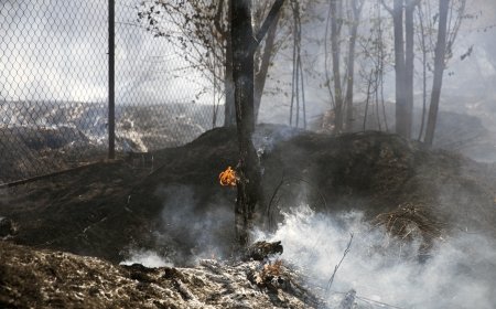 آتش‌سوزی در باغی در محدوده چوگیا؛ ۷ ایستگاه آتش‌نشانی به محل اعزام شدند