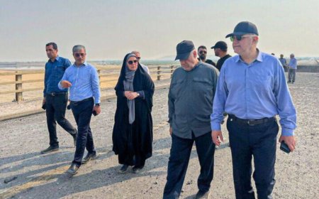 بازدید وزیر راه و شهرسازی از پل‌های گچین و روند بازسازی محور بندرعباس