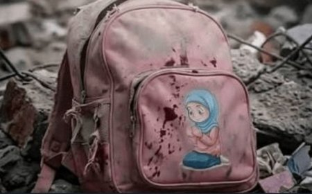 دانش‌آموزان بازمانده مدرسه میناب بورسیه شدند