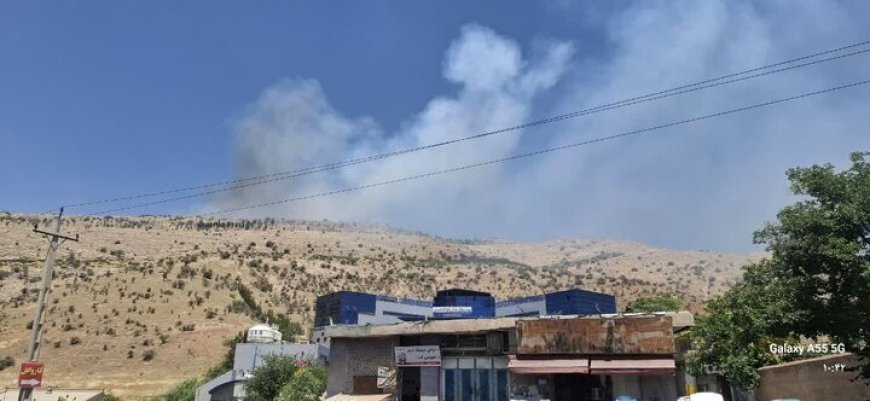 ارتفاعات باباکوهی‌ شیراز باز هم شعله‌ور شد