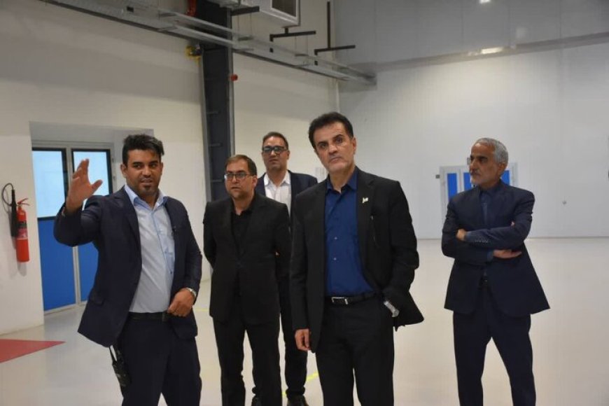 مدیرکل صمت فارس: رفع موانع تولید زمینه‌ساز افزایش اشتغال و توسعه صادرات است