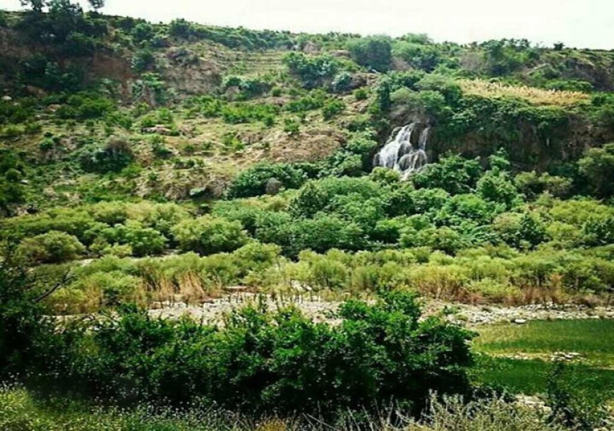 جنگل‌های کوهمره سرخی شیراز ظرفیت ملی فارس برای توسعه گردشگری طبیعی