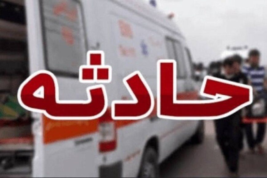 واژگونی مینی‌بوس حامل دانش‌آموزان دیری ۲۵ مصدوم داشت