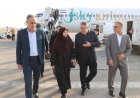 رئیس سازمان حفاظت محیط‌زیست وارد خوزستان شد