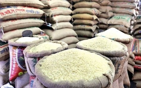 کشف ۲۰ تن برنج احتکار شده در گناوه
