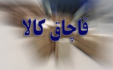 کشف محموله ۷۰۰ کیلوگرمی تنباکوی قاچاق در میناب