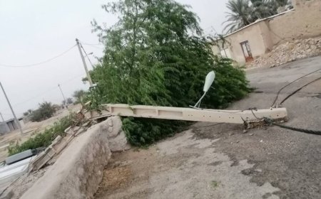 طوفان «چهل‌پسین» ۹۷۰ میلیارد ریال به شبکه برق فارس خسارت زد