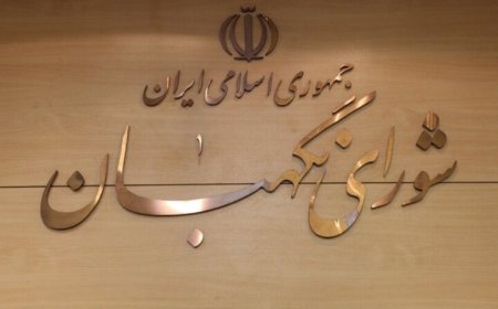 حکم رئیس دفتر نظارت و بازرسی انتخابات فارس تمدید شد