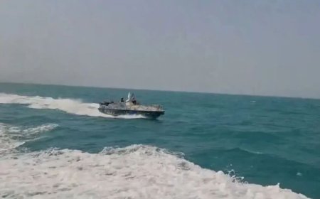 توقیف فعالیت ۲۹ سرشبکه ماهیگیری غیرمجاز در تنگستان