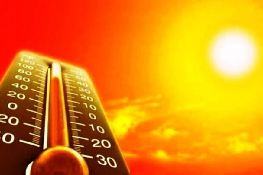 دمای هوای استان بوشهر از ۵۰ درجه عبور می‌کند