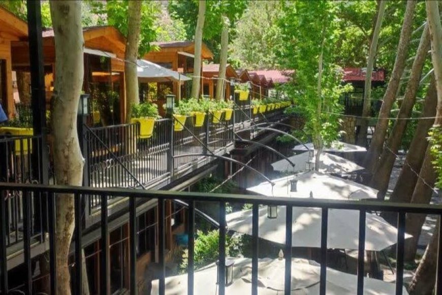 قراردادهای متحدالشکل برای رستوران‌ها و تالارهای شیراز تدوین می‌شود