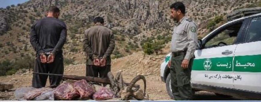 کلنگ و تفنگ در دنا؛ شکارچیان متوقف و عشایر از تخریب منصرف شدند