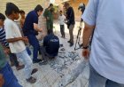 بازدید خبرنگاران خارجی از محل حمله به مراسم عروسی در بندر کوهستک