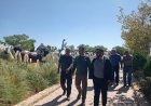 تأکید بر رفع نواقص ایمنی و ارتقای کیفیت خدمات در فضاهای تفریحی شیراز