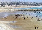 کنگان جوان‌ترین شهرستان بوشهر شناخته شد