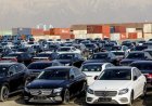 صدور مجوز واردات خودرو به منطقه آزاد بوشهر به رونق کسب‌ و کارها کمک می‌کند