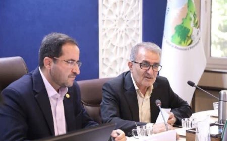 جنگلداری اجتماعی به رونق اقتصادی زاگرس کمک می‌کند