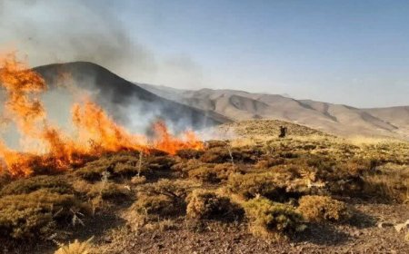 ۱۱ عامل آتش‌سوزی جنگل‌ها و مراتع کهگیلویه و بویراحمد شناسایی شدند