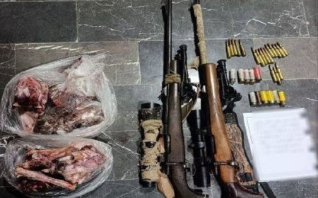 شکارچی غیرمجاز با لاشه ۲ راس قوچ و میش در میناب دستگیر شد