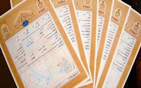 سند مالکیت موقوفه ۲۳ هکتاری «زائر حسین ریزی» در جم صادر و تثبیت شد
